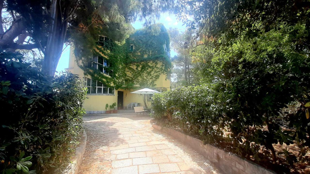 Old Captain'S Apartments - In A Pine Wood By The Sea And Tennis Courts スプリト エクステリア 写真